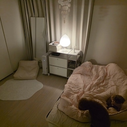 #추위극복템 #겨울의우리집 
우리집에 안락한 따뜻함은 작년부터 잘 사용중인
#웰핀 #에어히터 덕분!!
내 사랑둥이들과 따뜻한 겨울보내기
#강아지와함께사는집 #견주 #푸들 #강아지방석 #겨울의우리집 #겨울침실 #강아지랑사는집 #한파 #안방꾸미기 #맞팔