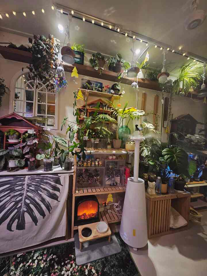 緑の植物と木製棚がいっぱいの狭いリビング。電気暖炉の明かりと大容量加湿器が置かれた雰囲気のあるプランテリア空間