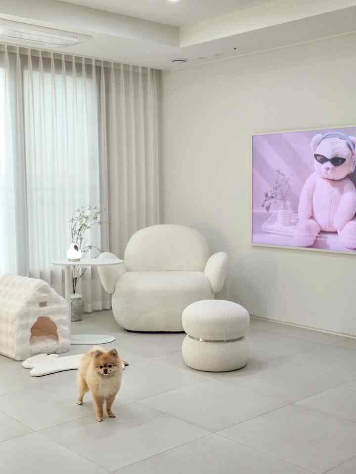 Soft white-toned living room featuring a fluffy pet house and adorable dog, creating a natural and cozy atmosphere