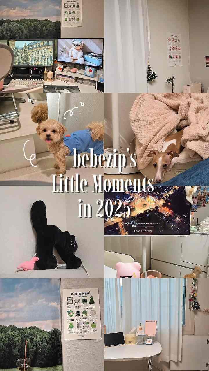 2025年を過ぎ、2026年の新年誓い。
もう少し私になり、発展し、挑戦する私になります。

2026年は百水で始まるが、
大胆にいくつかの誓いを書いてみました。

▪︎家の整理＆飾る
働くという言い訳で世話できなかった家の中をじっくり世話しようとします。
不要なものを整理し、物事も生活に効率よく使える動線と配置をしよう ◡̈

▪︎本日の家＆インスタ活性化
昨年12月頃から始まった小家とインスタ。
家、暮らし、日常に関連する私の物語を五家とインスタに盛り込んでみましょう。

▪︎離職準備（就職準備）
再開する心で、
ポートフォリオと離職に関する準備を着実に試してみてください。

私、2026年も上手くできますよね？
一緒に応援してください。 

＃明けましておめでとうございます＃コンスープフィルム＃勉強＃it＃コンピューター＃モニター＃日記＃カレンダー＃pc