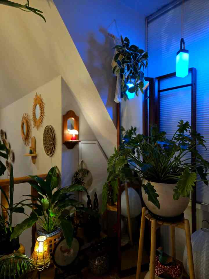 木目調とナチュラルカラーのコーナースペース、多様な植物と壁照明、ランプが温かみのある雰囲気を演出