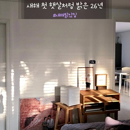 26년 1월 1일의 첫 햇살이에요.
일찍 눈이 떠져서 침실 벽면을 예쁘게 물들인 그림자를 만났어요♡
저도 같이 찰칵!
(저는 어디 있을까요?ㅎㅎㅎ)
26년엔 새로 시작한 일에 잘 적응하구,
일에 너무 몰입하지 않구 제 일상과 일의 균형을 맞추는 것에 가장 초점을 맞추고 싶어요.
그래서 제 일상 중 하나인 집을 돌보고 담아내고 소통하는 오늘의집을 통해 온전한 즐거움도 느끼고 싶네요.
오친님들,
26년도 다들 건강하시구 행복 가득하시기를 바래요💜
#새해밝았집 #침실 #침실꾸미기 #아침햇살 #아침풍경 #그림자 #그림자풍경 #침실인테리어 #침실인테리어소품 #새해 #새해맞이 #새해다짐 #새해목표 #새해기록 #새해첫날 #새해계획 