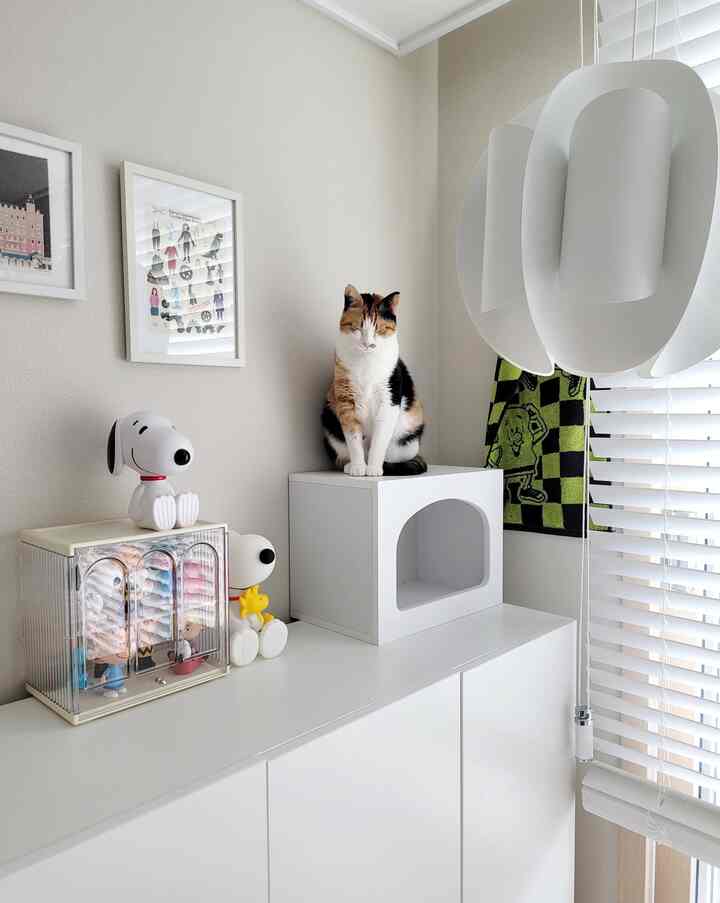 白を基調としたシンプルな空間にペットの猫と収納キャビネット、額縁が配置された落ち着いたインテリア
