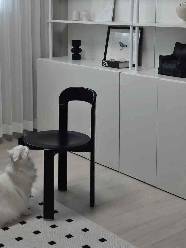 A narrow modern living room with white and black tones, featuring a black chair, a white cat, and white storage cabinets in a simple setting