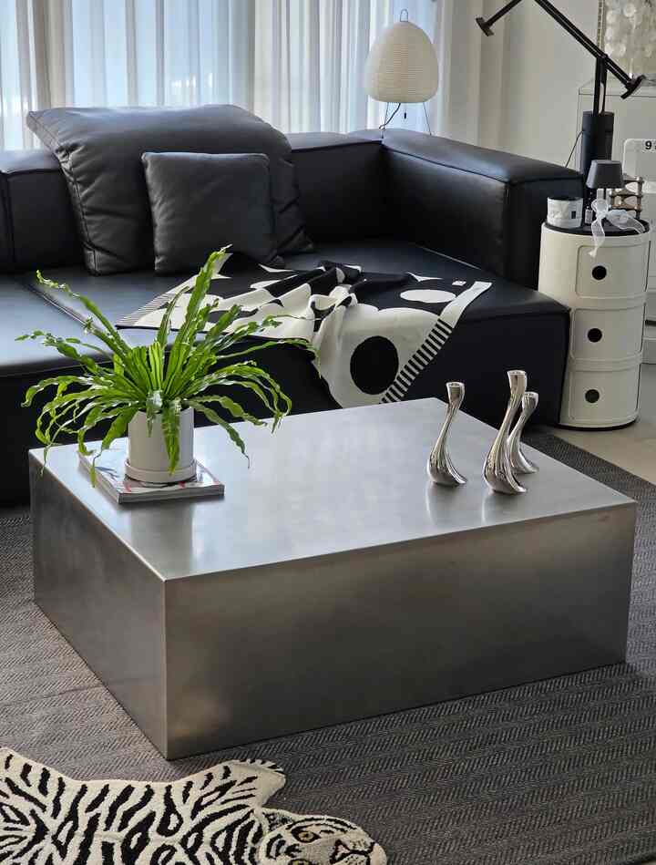 Monotone modern living room featuring a black sofa, metallic coffee table, and a green plant in a clean, minimalist space