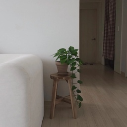 #콘수프기록집 #예쁜템최고야 3
우리집 쪼끄미들 🌱
분갈이할때 토분으로 갈아줬는데,
화이트색상은 깔끔한 느낌, 
베이지톤색상은 자연스러운 느낌이라 좋아요 :)
우드수납장, 스툴과 잘 어울려서 만족쓰🤎
어제 둘째가 받아온 호야&수태 화분! 
만들었다는데 내가볼땐 돌 갖고 놀았을 확률 100퍼
안 먹었음 다행이였을꺼같아요🤔
세상 귀요미라 다른 식물들과 인사 나누라고 놔뒀어요
ㅋㅋㅋㅋㅋㅋㅋㅋ
오늘 날씨가 흐려서 사진도 어두워요🥲
미먼도 있는듯하고 자연광이 필요한데....
내일은 맑은날이기를❤️
#집꾸미기 #식물인테리어 #미니멀인테리어 #거실꾸미기 #심플인테리어 #내추럴인테리어 #화분 #협탁 #스킨답서스 #홍콩야자 #커피나무 #호야 #귀여움 #오가든 #식물기록 #미니수납장 #우드수납장 #우드스툴  #일상기록 #육아기록 #마켓비 #우드레이 