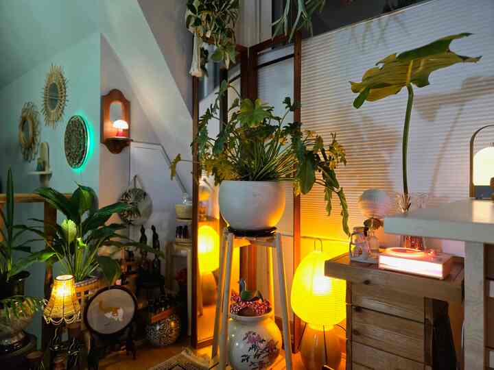 ＃コンスープ記録集＃今日の私たちの家 

休暇に行ってきたが使える写真がない。
スキー場とウォーターパークをたどる大環状旅行

好きなものを選ぶ
私のスペースが最高です。 

やはり、
旅の醍醐味は帰宅

_
私でいっぱいの旅行を待ってください🫠
。
。
。

＃マキシマリストのミニマルライフ＃FTC記録＃空間記録 
#homesweethome #複層 #二階建て #複層インテリア 
＃プランテリア＃植物インテリア＃植民地時代＃屋内庭園
＃家の装飾＃ホームスタイリング＃ホームデコ＃小物スタイリング＃ビンテージ小物
#homestyling #homedecor #vintagestyle  
#planterior #indoorplants #livingwithplants
