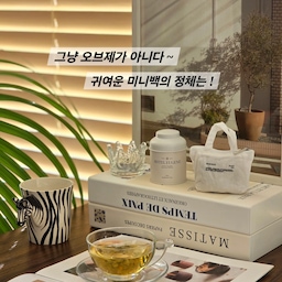 너무 귀여워서 처음엔 가방 소품인 줄 알았어요 
알고 보니 사쉐라니… 센스에 한 번, 향에 또 한 번 반한
잇데코 조향사가 만든 사쉐 방향제 
화이트 캔버스에 미니백 디자인이라
그냥 올려두기만 해도 공간 분위기가 달라지고
어디에 두어도 인테리어 소품처럼 자연스럽게 스며들어요
제가 선택한 향은 누아 Noir
달콤한 바닐라에 파우더리한 포근함이 더해져
은은하게 머무는 잔향이 참 고급스러워요
과하지 않아서 공간에 조용히 숨처럼 퍼지는 느낌이에요
무엇보다 좋은 건 리필이 가능하다는 점 ✨
향이 약해지면 지퍼를 열어 내용물만 교체하면 된다는 점 
예쁜 미니백은 그대로 오래 사용할 수 있고
일회성이 아니라 지속 가능한 방향제라는 게 마음에 들어요
차안에 툭 ! 걸 어 두기도 좋더라고요 
디자인도 향도, 작은 디테일까지 챙긴 제품이라
선물용으로도, 나만의 공간을 위한 작은 사치로도 딱이에요
이제 네모난 종이 사쉐는  안녕 ~~👋 
#예쁜템최고야 #콘수프기록집 #사쉐방향제 #사쉐 #감성소품 
#오브제소품 #향기템 #인테리어소품 #감성북테리어 
#사쉐추천 #미니백사쉐 #공간향기

