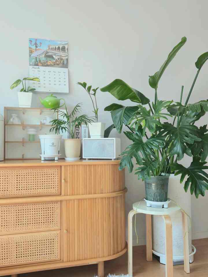 #현명한소비  #땅콩주택 #집꾸미기 #인테리어 #화이트우드 #오늘의집 #homeinterior #homedecor #홈스타그램 #집스타그램 #플랜테리어  #마켓비 