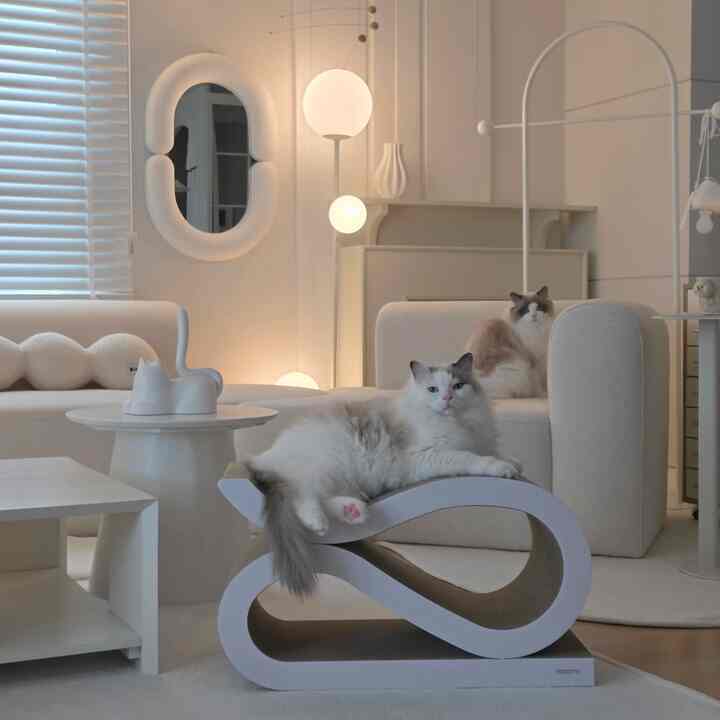 白とナチュラルカラーのリビングルーム、中央にキャットスクラッチャーとソファ、2匹の猫がくつろぐモダンで落ち着いた空間