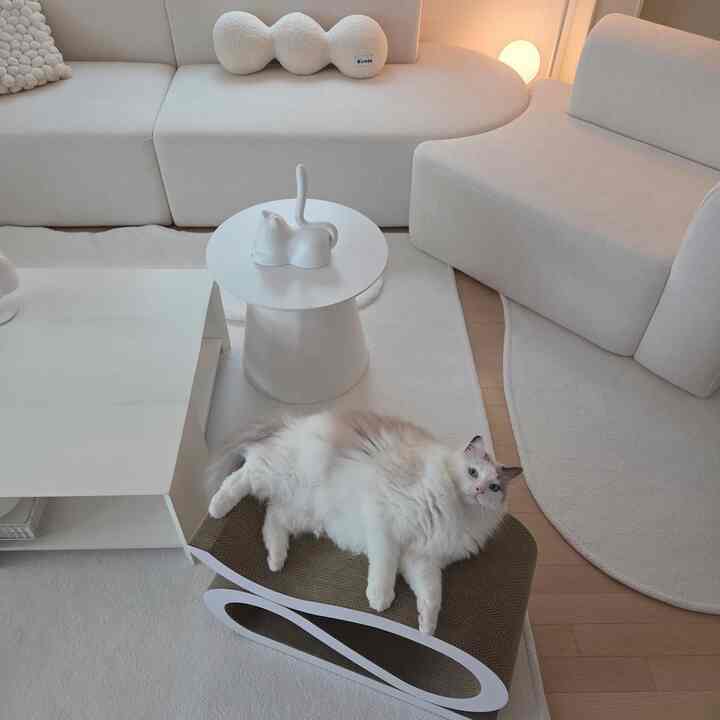 明るいナチュラルカラーのリビング、広いソファと2つの白いテーブルが配置され、ペットの猫が爪とぎの上でくつろぐ雰囲気のあるインテリア