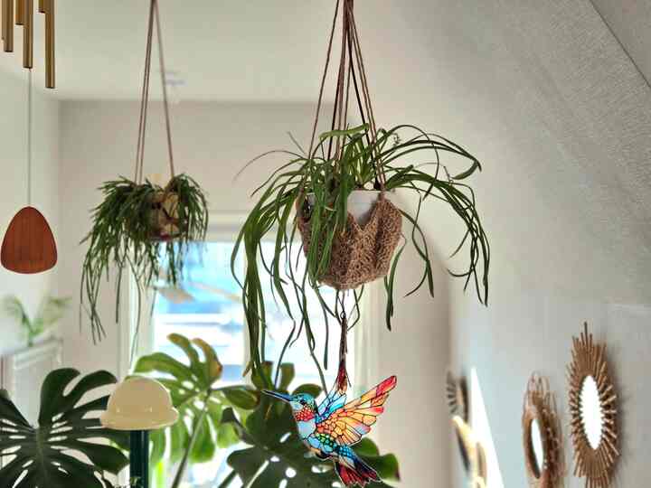 ＃コンスープ記録集 

今日も晴れ！

ムスカラどのように育てますか？
ネギのように伸びる葉のせいでハンギングにしました。
葉の煮込み歌われ、花もよく出してくれませんね。
冷ややかなお手伝いが必要です🚨

ㅡ
一つ、二つ伝えてくる弟子の結婚ニュース
嬉しいニュースを抱えて訪れた君たちとの時間
昔の思い出と現在の物語が混在する中で
大人として他の世代の考えが面白いんですよ。

その瞬間の心も、刹那の風景も 
本当に大切だと感じる今日のページ🩷
。
。
。
＃マキシマリストのミニマルライフ＃FTC記録＃空間記録 
#homesweethome #複層 #二階建て #複層インテリア 
＃プランテリア＃植物インテリア＃植民地時代＃屋内庭園
＃家の装飾＃ホームスタイリング＃ホームデコ＃小物スタイリング＃ビンテージ小物