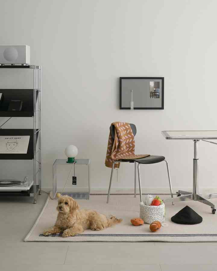 ベージュとアイボリーのトーンのリビング、中央に犬と犬用おもちゃの入ったファブリックバスケット、黒いスツールが配置された自然な雰囲気のインテリア