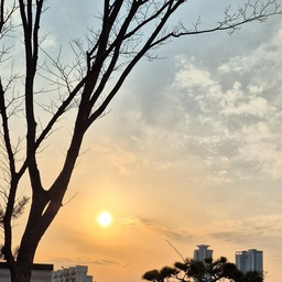 해가 뉘엿뉘엿 저물어가는 주말 저녁,
아이들과 함께 오랜만에 학교 운동장을 찾았어요.
지치지 않는 아이들의 체력에 감탄하며,
오랜만에 함께 뛰고 땀 흘리며 스트레스 날려버린 날.
#sunset mood #노을 #공간기록 #찰나의순간 #skyview #주말기록 #일상수집 #데일리무드 #weekendvibes #slowliving #여유로운오후 #주말산책 #오늘의집 #집스타그램 #하우스그램 #감성사진 #스냅사진