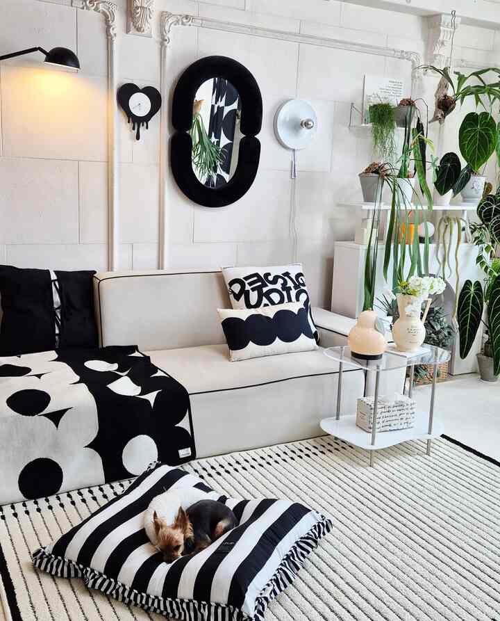 今日も暖かくなって子犬たちクッションカバー交換してくれました。
メイは今暑くて涼しい素材です〜 
昨年買ったストライプ愛犬クッションカバー 
飽きずにとてもきれいです🖤🤍
キキの神はお部屋にいますが、日中はとても出てきました。
メイ席を奪ってしまいます🤣🤣
メイはお母さんを追いかけます毎回席を奪われます。

＃素敵なテム最高屋＃コンスープ記録集 