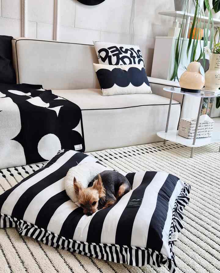 Black and white toned living room featuring a sofa and pet cushion in a modern setting