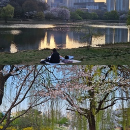 벚꽃 나들이🌸🌼
지난 주말 호수공원에 산책 갔다가
꽃구경도 하고 힐링 제대로 하고 왔어요.
늦은 오후에 가서 좀 걱정했는데 해질무렵의
풍경도 너무 예뻤어요🧡☺️
#일산호수공원 #벚꽃구경 #나가놀아요 #나들이 
#주말에제일바빠 #주말일상 #오늘의가든 #맞팔해요 