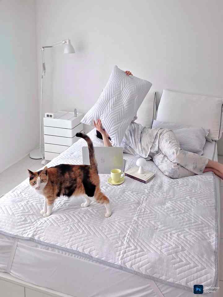 妊娠しながら、普段より暑さに早く乗ることになり、涼しさのためにクラルハイム+アイシングデュラロン冷感パッドセットを使い始めました。特にこのパッドにはデュラロン（PE）32％とポリエステル68％が黄金比で組み合わされており、最初の涼しさが一晩持続するという点が印象的でした。 

三つの層からなる三重織構造は熱を素早く抜きながら空気をよく循環させて汗排出に優れ、一晩歩き回った快適さを維持してくれます。それだけでなく、洗濯後も糸くずができず、丈夫な生地のおかげで毎年取り出しても変わらない冷感性能を感じることができます。頑丈な4面ミリング防止バンドまで加わり、長く安定して使用可能です。   #구축리모델링 #침실인테리어 #신혼집 #신혼부부  #고양이가있는집 #맞팔환영 #맞팔 #선팔 #좋아요 #소통