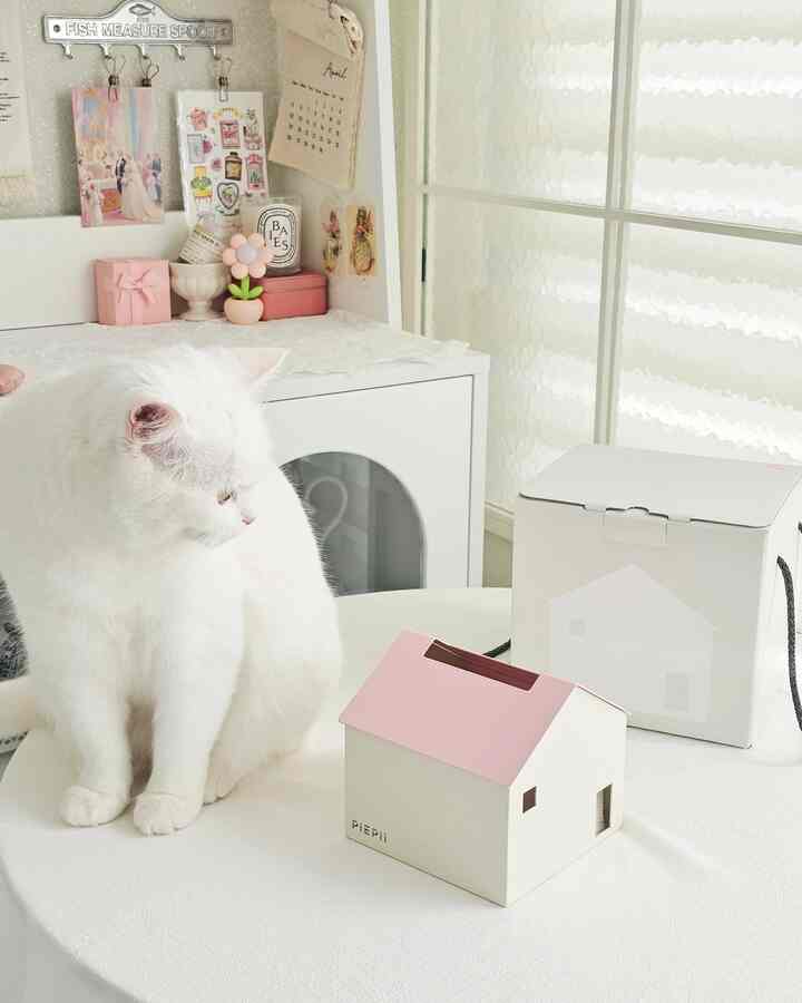 白を基調とした暖かみのある空間、テーブルに座る白い猫と飾り付けが配置された柔らかな雰囲気のインテリア