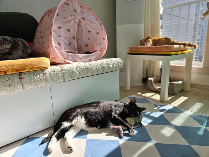 short form carousel card thumbnail