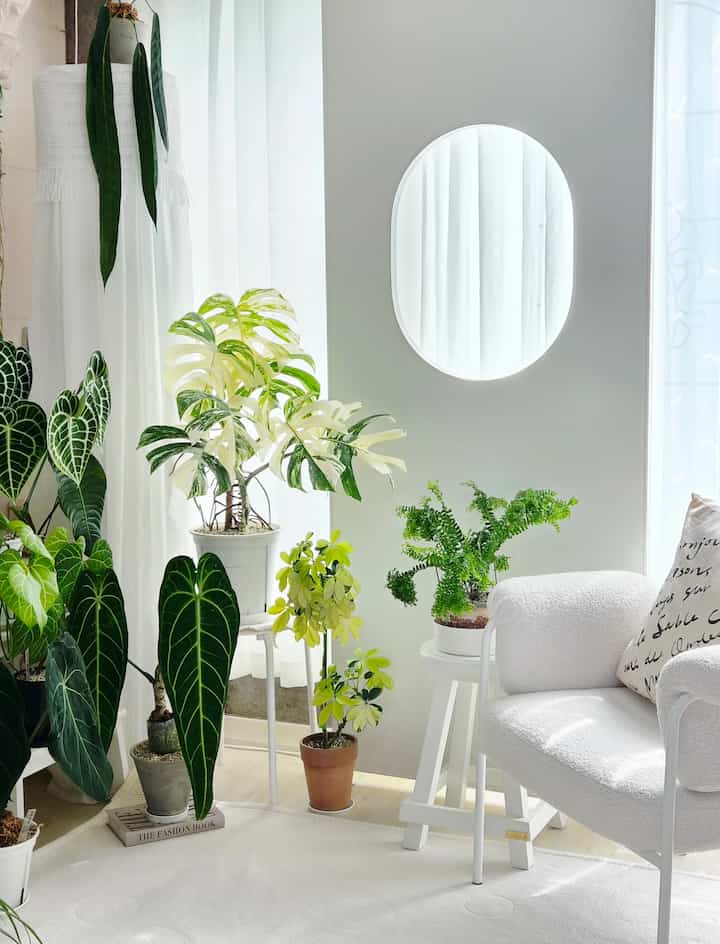 チャンホはきれいではなく逆光なので、壁を探しています。
とてもきれいでポイントで購入しましたが、うわ〜とてもかわいいです😍
この崖をまったく一人でいると言ったが、
夫がしっかり固定してくれました😁
まだ未完成空間です。
残りのポイントを脱いで打ち明け、半分のテーブルがありました。
色を間違ってお支払いして返品費が大きくてただ書くことで😂
今日はスケジュールがあり、後でアップロードします。

＃素敵なテム最高屋＃コンスープ記録集＃壁＃感性インテリア＃壁のインテリア 