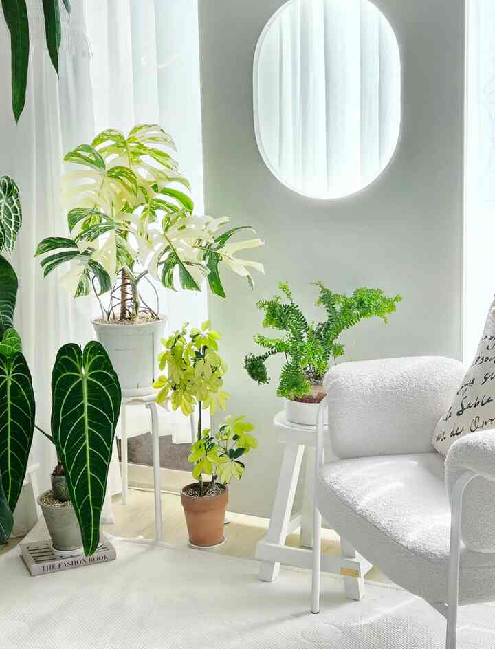 ホワイトトーンの壁とカーテンがあるリビング、さまざまな植物とふわふわのアームチェアが配置された自然な雰囲気のインテリア