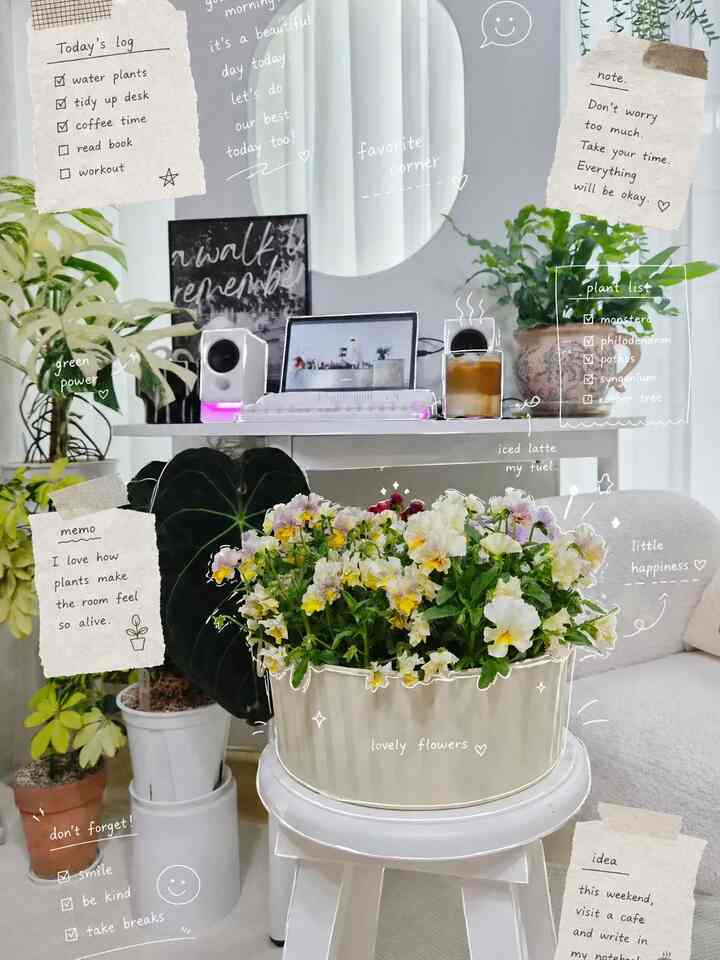 最近ではパンジーとヴィオラがなぜこんなにきれいに見えるのでしょうか。 
小さな花びらを見ていると心まで歓迎される気分です。好きなものでスペースを埋めるのもノウハウでしょう😍

＃インテリアノウハウ＃コンスープ記録集＃植民地成長＃植物インテリア＃リビング装飾 