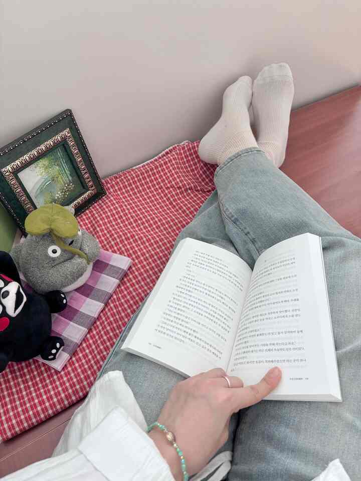 Subtle beige and red toned bedroom with checkered bedspread and someone reading a book comfortably