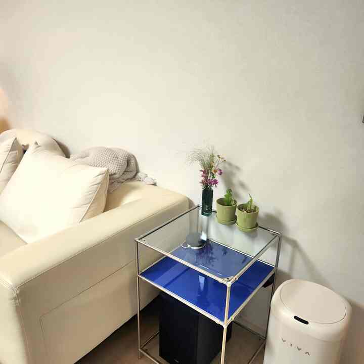 空間のポイントとなる青色モジュール棚

家はホワイトウッドの家具だけほぼ満たしていましたが（ゴミ箱さえホワイト🙄）、この青い棚がリビングのポイントになると思い、連れてきました。
どうやら色がちゃんだからたくさん載せなくても可愛いと思います！
小さな花瓶を載せても調和よくよく似合います🌸💙
リビングルームがあまりにもちょっと感じたときにこのようにポイントを与えると良いと思います！
＃カラー＃カラーポイント＃コラボレーション＃モジュール家具＃モジュール棚＃花瓶＃フラワーインテリア＃リビングインテリア＃ゴミ箱＃ビバゴミ箱＃ゴミ箱＃ホワイト＃ウッド＃ホワイトウッド＃グッドサンテム＃おすすめのテム 