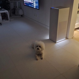 #쿠쿠하세요쿠쿠 #인스퓨리헤리티지 #공기청정기
저희도 쿠쿠하세요쿠쿠 노래때문에
플렉스해보았습니다 ㅎㅎ
마트 갔다가 실물보고이뻐서
오집에서 바로 플렉스
공기청정기 가전느낌보다 가구느낌이 더강해서
거실 분위기 안방분위기랑도 너무잘어울려요♡
소음도 생각보다 조용하고
바퀴달려있어서  안방에서도사용 거실에서도사용
잘때는  취침모드 아침에는자동모드
무드등느낌 까지 있어서 밤에켜두면 분위기쵝오에요
오집분들도쿠쿠하세용쿠쿠~
#쿠쿠공기청정기 #20평형대공기청정기 #거실인테리어
#안방인테리어 #신혼가전 #가전추천 #집꾸미기
#인테리어가전 #내돈내산 #홈스타일링 #강아지와사는집
#공기 #미세먼지 #취침모드 #화이트집 
