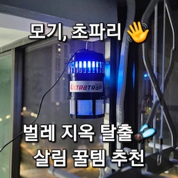 #오감리뷰 프로그램을 통해 제품을 제공 받아 직접 사용하고 스타일링한 후기입니다.
[ 여름철 벌레 지옥 탈출하려면 '울트라트랩' 하세요! ]
여름만 되면 찾아오는 불청객, 초파리랑 모기 때문에 매년 스트레스 받으시죠?
뿌리는 살충제는 몸에 안 좋을 것 같고, 불꽃 튀며 탁! 소리 나는 전기모기채는 타이밍 맞추기 힘들고, 고정형 전기모기채는 효과가 없다고 생각하던 차에 새로운 형태의 포충기를 발견했어요! 
차마... 비위상하실까봐 올리진 못하지만, 새삼 우리 집에 벌레가 이렇게 많았구나 체감하며 대만족 중입니다!
👀 인테리어를 해치지 않는 시크하고 깔끔한 디자인
처음 박스를 열었을 때 포충기가 아니라 무슨 미니 가습기나 오브제 공기청정기인 줄 알았어요. 세련된 블랙 톤의 동글동글하고 매끄러운 디자인이라 거실 한구석이나 주방 선반 위에 올려두어도 이질감이 전혀 없더라고요. 밤이 되면 모기가 가장 좋아하는 365nm 파장의 블루 자외선 램프(UV-A) 불빛이 은은하게 퍼지는데, 너무 눈에 꽂히지 않고 무드등 정도의 느낌이 들어요. 
👂 이거 켜진 거 맞죠? 19dB 의 조용함
사실 팬이 돌아가는 흡입식 제품이라 소음 걱정을 제일 많이 했거든요. 그런데 켜자마자 "지금 작동되는 거 맞나?" 싶을 정도로 고요해요. 19dB 수준의 초저소음이라 우리집 선풍기 약풍보다 소리가 작습니다. 예전 살충기들처럼 벌레가 타닥 타며 타는 소름돋는 소리도 일절 없어요. 덕분에 예민한 여름밤 숙면에도 전혀 거슬리지 않아서 마음이 편안합니다.
👃🏻 독한 냄새 없이, 사람 호흡을 모방한 과학적 유인방법
저는 독한 액체 모기향이나 화학 스프레이 특유의 머리 아픈 냄새를 정말 싫어해요. 울트라트랩은 모기가 좋아하는 이산화탄소와 젖산의 메커니즘을 활용해 자연스럽게 벌레를 유인하는 방식이에요. 정제된 이산화탄소를 발생시켜 포획률은 압도적으로 높이면서도, 집안에는 인위적인 냄새가 남지 않아요. 덕분에 아이나 반려동물이 있는 집에서도 24시간 내내 안심하고 켜둘 수 있어요.
🙌  손 안 대고 툭! 깔끔하고 완벽한 뒤처리
벌레 사체를 직접 만지거나 휴지로 치우는 게 참 싫었는데, 이건 아래쪽에 달린 포집기 통만 슥 돌려서 분리한 뒤, 벌레가 붙은 스티커 패드를 쓰레기통에 툭 버려주면 끝이에요. 
팬의 바람 덕분에 벌레가 바짝 건조되어 끈적거리거나 징그러운 형태가 남지 않아 비위 약한 저도 맘 편하게 비우고 있어요. 
💡 위치 설정이 가장 중요
사람 호흡에서 나오는 이산화탄소보다 기계의 유인력이 더 매력적으로 느껴져야 모기가 이쪽으로 가요! 따라서 사람이 활동하는 곳과 살짝 떨어진 곳, 그리고 바닥에서 1.5m 정도의 높이에 올려두고 쓰시는 게 가장 효과가 좋다고 합니다!
💡 한 달 내내 켜둬도 전기세 3000원대
24시간 풀 가동해야 효과가 좋은 제품인 만큼 전기세 걱정이 앞섰는데, 한 달 기준 3,000원대 내외라 부담 없이 팍팍 틀어두고 있어요.
💡 넓은 커버력 (20평)
미니멀한 사이즈와 달리 무려 20평까지 커버가 가능해서, 거실 중심에 두면 주방 공간 날파리까지 싹 잡아주더라고요.
예쁜 디자인에 확실한 포획 성능, 그리고 한 달 3000원대라는 착한 유지비까지. 이 정도면 안 살 이유가 없는 여름 필수 가전이죠! 매년 여름마다 찾아오는 초파리 지옥과 모기 스트레스에서 해방되고 싶다면 더 늦기 전에 정착해 보세요 👍🏻
#살림은장비빨 #울트라트랩 #모기퇴치기 #포충기 #초파리퇴치 #모기장 #여름필수품 #삶의질향상 #모기퇴치 #초파리트랩 #날파리퇴치 #벌레지옥 #벌레퇴치기 #해충퇴치기 #벌레퇴치 #날벌레 #벌레기피제 #바퀴벌레 #여름살림 #여름가전 #여름준비 #살림꿀템 #삶의질상승템 #꿀잠 #숙면 #모기전쟁 #여름밤 #캠핑용품
#오감리뷰 프로그램을 통해 제품을 제공 받아 직접 사용하고 스타일링한 후기입니다.
