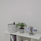 #화분 #식집사 #아스파라거스나누스 #뉴뉴 #이케아 #아랄리아 #맞팔 #맞팔환영 #앙비까사