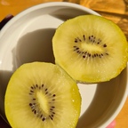 크기도 크고 당도도 높은 키위!
날이 따뜻해서 긴 후숙기간도 필요없이 금방 먹을 수 있어요
(저는 도착하자마자 당일에도 먹었음><)
진짜 맛있어🥝🥹💛