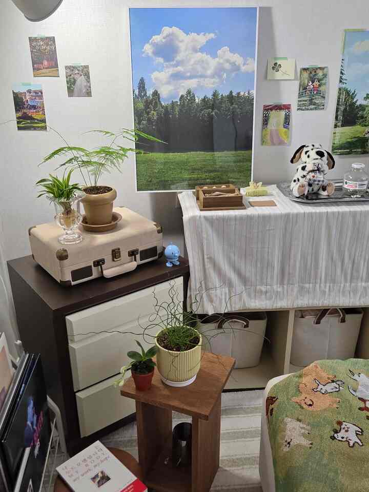涼しい夏を迎える前に残す緑の緑の空間🌳
​​
私の友人は今夏を迎えます 
空間にどんなクールな変化を与えていますか？  #내방꾸미기 #방꾸미기 #집꾸미기그램 #홈스타일링 #공간기록 #식물인테리어 #플랜테리어
