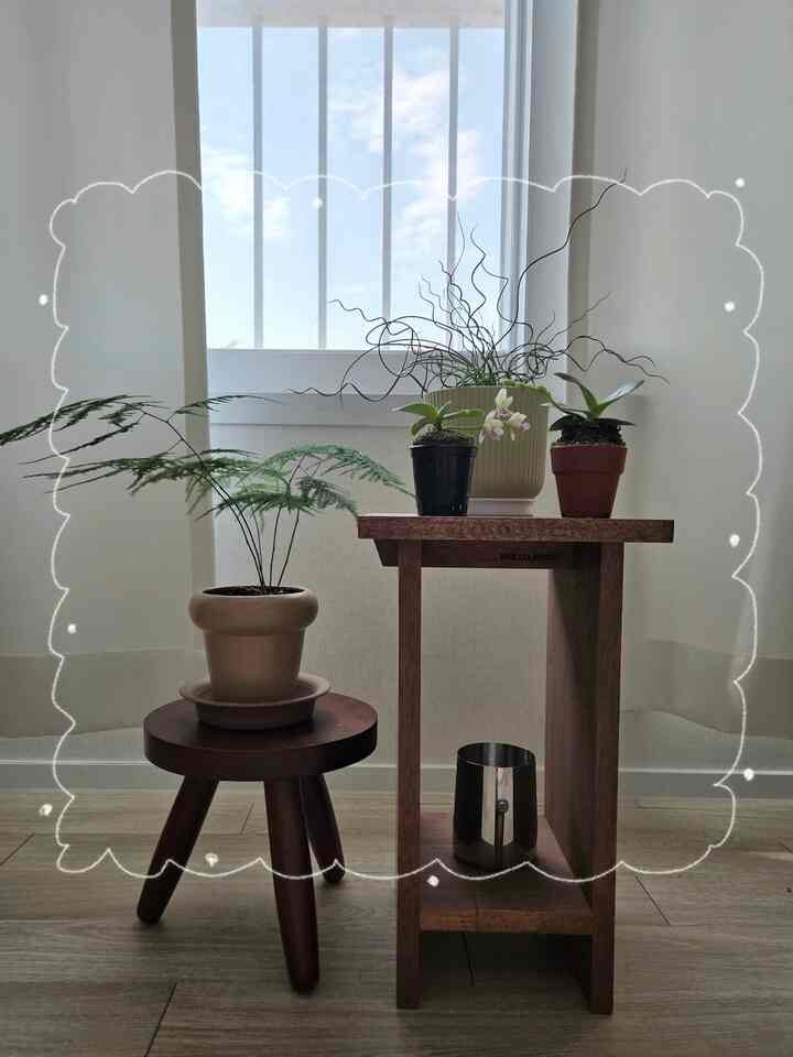 植物の生存を知らせながら、私の最愛の原木スツールも 
私は誇りに思っています 🤎
ウォルナットウッドトーンがとても好きで、スツールも 
全部ウォールナッツカラーでご用意しましたああヒヒ✨ 
棚のサイズがたくさんあり、植木鉢をたくさん置く 
ちょうどいいですね！😳
特に四角スツールは脚の下部に棚がもう一つあり、
行くところに失った水絞りをすっぽり保管していますよ🫧🫧
（完全空間活用ハチミツ..！）

あなたの緑は  #식물기르기 #원목스툴  #내방꾸미기 #방꾸미기 #집꾸미기그램 #홈스타일링 #공간기록 #식물인테리어 #플랜테리어
