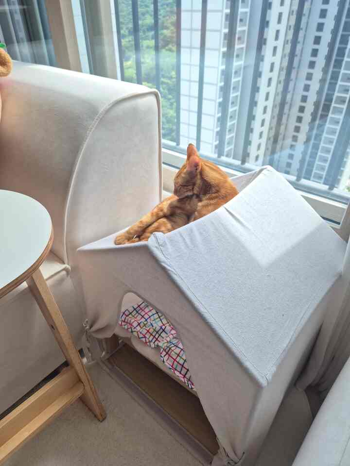 #고양이텐트 #이케아고양이침대 #거실인테리어 #거실 #고양이침대 