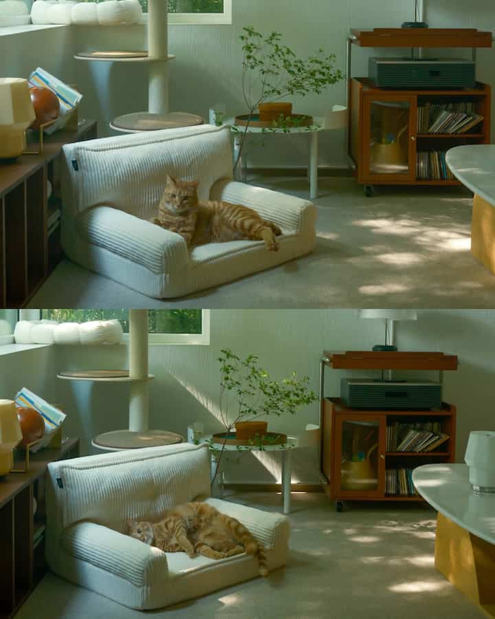 白とナチュラルな色調のリビング、ソファベッドにくつろぐ猫、木製キャビネットとキャットタワーが配置された雰囲気のある空間
