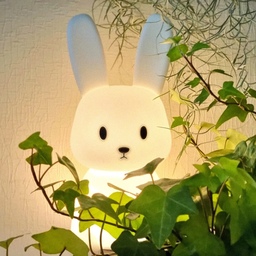토끼 조명과 아이비 식물!!ㅎ 아이비 식물은 넝쿨처럼 자라는 뽀인트예요 🐰☘️
#아이비 #아이비키우기