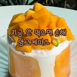Mango Cake🥭🧡
그냥 먹어도 맛있는 골드망고를 가득 넣어 만든 망고케이크✨️
욕망의 항아리마냥 망고를 꾹꾹 눌러 넣었더니 다완성하지도 못했는데 이미 무스띠를 넘쳐버렸어요...🫠
그렇지만 맛은 최고🥹💛 하루만에 다 먹어버렸답니다💗
#망고 #망고케이크 #케이크 #케이크만들기 #베이킹 #홈베이킹 #baking #homebaking #맞팔 #맞팔해요 #소통 #소통해요