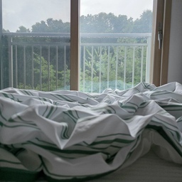 비 오는 날 우리집 ☔️
남편은 출근하고, 아들은 학교에 갔어요.
등교 시간에 비가 너무 많이 쏟아져 오늘은 엄마 차로 등교 완료~ 🚗
조용해진 집에서 빗소리를 들으며 늦은 아침을 먹습니다. ☕️
오늘은 운동 대신 집 정리하며 천천히 보내보려 해요.
#숲뷰 #숲뷰아파트 #초록뷰 #그린뷰
#비오는날 #비오는날우리집 #비오는아침 #빗소리
#우리집 #우리집기록
#홈스타일링 #홈인테리어 #집꾸미기
#화이트인테리어 #미니멀인테리어
#아파트인테리어 #1층집 #1층아파트
#침실인테리어 #거실인테리어
#다이닝룸 #오늘의집 #오늘의집인테리어