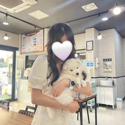 #집사의장바구니 #쮸스토랑
비록 반려동물을 키우진 않지만
마음으로 사랑을 주는 랜선집사 쮸 🧚‍♀️🤍🐕
1-2 일단 귀여운 아기강쥐 사진부터 투척하고 ㅋㅋㅋㅋ
(식당 갔다가 만난 아기강아지예요🥺🤍)
3 카페에서 만난 웰시코기의 터그놀이 장난감
4-5 그리고 시바견 키우는 친구에게 선물하려고 준비한
강아지 발씻자!!
사람 버전 말구 강아지 버전이라고한다!!
#반려동물 #반려견 #강아지장난감 #강아지풋샴푸 #풋샴푸 #강아지발씻자 #발을씻자 #강아지발을씻자 #터그놀이장난감 #터그놀이 #강아지 #아기강아지 #맞팔