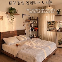 머물고 싶은 편안함, 원목 가구로 완성한 침실 인테리어
묵직한 원목 침대 프레임과 감성적인 원목 책장 선반
그리고 공간 활용도를 높여주는 이동식 TV로
편안함과 실용성을 모두 챙길수가 있어요 
머무는 것만으로도 힐링이 되는 최애 힐링공간이에요
#인테리어노하우 #콘수프기록집 #침실인테리어 #원목침대 #원목선반 #이동식TV #침실꾸미기 #우드인테리어 #파라다이스빌라 #원목책장 #썸앤데코침대 #침대프레임추천 #라지킹프레임 #무빙스타일 #벽조명 #침실스타일링 
#원목침실 #침실 #원목가구 #인테리어소품 