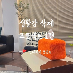 휴지도 인테리어가 될 수 있다? 🤭
알록달록 포장지 그대로 쓰던 휴지, 볼 때마다 살짝 신경 쓰이셨던 분 계신가요? (저요...🙋‍♀️)
적은 돈으로 집안 생활감 싹 지워주는 내돈내산 효자 아이템 2가지 공유해요 🤍
🏡 1. 파르베샵 티슈커버
각티슈에 쏙-! 씌워주면 감성 소품 변신✨
스트랩이 있어서 침대 헤드나 벽에 걸어두면 너무 예뻐요.
🏡 2. 에이베리썸씽 롤휴지 케이스
휴지심만 쏙 빼서 씌워주면 끝!
테이블 위에 무심하게 올려둬도 오브제 같아서 볼 때마다 기분 좋아요 🤍
매일 쓰는 휴지, 생활감은 줄이고 감성은 더해보세요 🌿
📌 ‘나중에 집 꾸밀 때 참고해야지!’ 싶다면 [저장] 해두기!
#내돈내산 #집꾸미기 #인테리어소품 #홈스타일링 #감성인테리어 #티슈커버 #롤휴지케이스 #신혼집인테리어 #생활감지우기 #리빙템추천 #ftc26기 #ftc26 #맞팔 #소통
