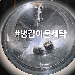 땀으로 눅눅해진 냉감이불 세탁하는 날^^
냉감이불은 기능성 이불이라
세탁기에 막~ 돌리고
건조기 돌리면 안되는거 아시죠?
세탁물에 넣고 ㅡ 찬물 ㅡ 울코스ㅡ탈수2회 ㅡ 자연건조
#냉감이불 #냉감패드 #냉감패드추천 #시원한이불 #워시타워 #lg워시타워 #lg드럼세탁기 #드럼세탁기 #이불세탁 #냉감이불세탁 #살림꿀팁 #잘산템 #오늘의우리집 #콘수프기록집 #잘산템추천 #여름이불 #여름이불추천 #코지코튼 