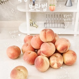 #한여름디저트 
복숭재벌 히이의 복숭아 보관법🍑
벌써 복숭아 4박스째예요. 🤭
아직 시댁에서 보내주신 복숭아도 한 박스 그대로 있는데,
제가 정말 좋아하는 농장의 양하비 복숭아가 나왔다는 소식에
품절되기 전에 얼른 데려왔어요.😂
복숭아는 받자마자 정리해두는 게 제일 중요해요.
조금만 신경 쓰면 훨씬 오래 맛있게 먹을 수 있거든요
제 보관법은 정말 간단해요.
🍑 복숭아 하나씩 키친타월로 감싸기
🍑 원래 씌워져 있던 캡을 살짝 덮어주기
🍑 지퍼백에 넣어서 보관하기
끝!
조금 단단한 복숭아는 상온에서 후숙하고,
말랑하게 익은 것만 따로 냉장고에 넣어두면
무르지 않고 먹기 편해요.
그리고 하나 더!
복숭아는 냉장고에서 꺼내자마자 먹는 것보다
30분 정도 실온에 두었다가 먹으면
향도 더 살아나고 훨씬 달콤하게 즐길 수 있어요.🥹🍑
올여름 복숭아 맛있게 드시길 바라요!
#복숭아 #복숭아보관법 #복숭아후숙 #여름과일 #과일보관 #집살림 #살림팁 #주방꿀팁 #일상기록 #리빙스타그램