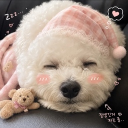 #일상기록 
여행지에서 😴 🌙 잠옷도 입고 지대로 힐링하구
와써오~~저는마요예오🐶
#여행기록 #여행 #강아지 #강아지용품 #강아지침대 
#선팔 #맞팔 