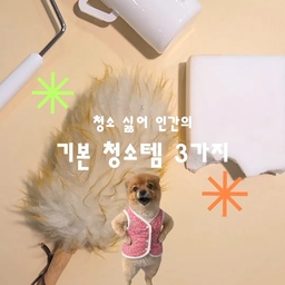 🧹 청소 싫어 인간의 최소한의 기본 청소템 TOP 3
청소는 세상에서 제일 싫지만, 집구석이 쓰레기장이 되는 건 또 못 보는 '청소 싫어 인간'들 주목! 🙋‍♀️🙋‍♂️
최소한의 움직임으로 최대의 효과를 내주는 꿀템 3가지를 모아봤습니다.
1) 양모 먼지 털이개
스크래치 없이 먼지만 1초 만에 컷!
특히 블라인드에 쌓인 먼지 쉽게 제거 가능!
2) 돌돌이
러그 먼지, 바닥 머리카락부터 매일 빨기 힘든 침구류까지 슥슥-
3) 다이소 매직 스펀지
묵은 때와 김치 국물 자국도 이름값 그대로 '매직'처럼 삭제!
'청소 싫어 인간' 탈출 치트키가 있다면 댓글로 공유해 주세요!✨️
#청소꿀템 #청소템 #먼지털이개 #돌돌이 #매직스펀지 #매직블럭 #ftc26기 #ftc26 #맞팔 #소통