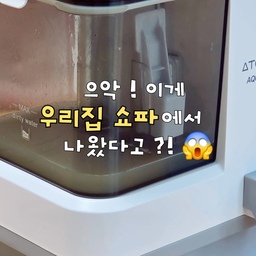 #오늘의우리집 
오늘은 날잡고 쇼파청소한 날! 
아이 키우다 보면 쇼파랑 매트리스가 멀쩡할 날이 없죠…🥲
음료수 흘린 자국부터 눈에 안 보이는 묵은 때까지!
​매번 세탁하기도 힘들고 방치했었는데, 
아토케어 아쿠아스톰 습식청소기 하나로 
진짜 속이 다 시원해졌어요 🌊
​쇼파는 기본이고, 매일 쓰는 침대 매트리스랑 
책상 의자까지 슥슥 밀어주면 끝!
무게도 2.6kg 초경량이라 손목 부담도 전혀 없답니다 🤍
​마지막에 오수통 보고 충격 먹은 건 안 비밀…💦
더러운 꾸중물 빨려 들어가는 거 보면 
진짜 힐링 그 자체예요 😌✨
​우리 집 패브릭 가구 꿀템으로 완전 추천합니다!
​ #아토케어아쿠아스톰 #습식청소기 #패브릭소파청소 #매트리스청소 #식탁의자청소 #육아템 #육아필수템 #살림템 #청소기추천 #살림기록 #집안일기록 #아토케어 
#콘수프기록집 #콘수프필름 #콘수프기록 #맞팔환영