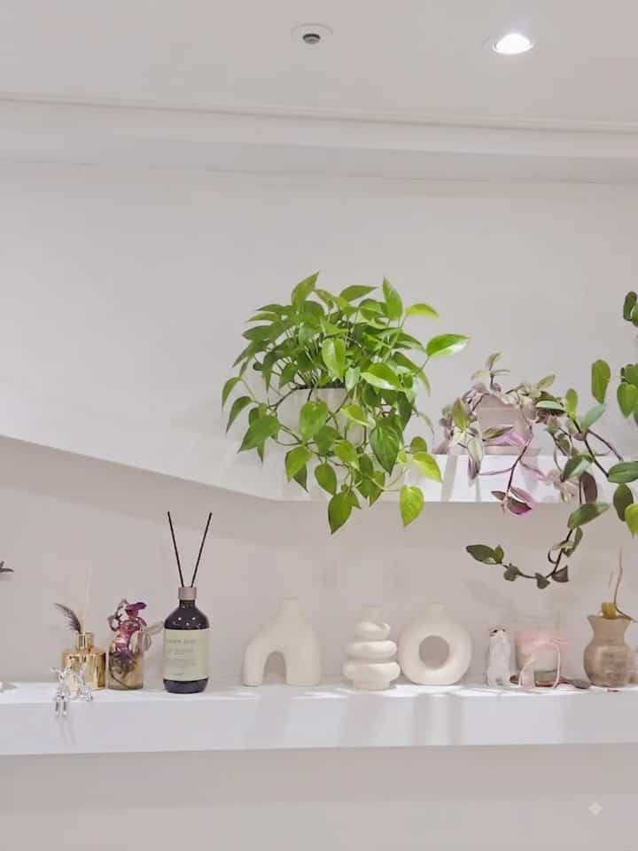  #토끼인형 #방향제 #식물인테리어  #세라믹화병   #맞팔 #맞팔환영 #아파트인테리어
