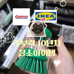 집에 반려동물이 있으면 청소를 해도 금방 털이 보여서 청소템을 자주 사용하게 돼요 ˘ᵕ˘
① 이케아 이테베크말 청소솔
창틀이나 틈새, 모서리에 쌓인 먼지를 털어내기 좋아요.
② 고로고로 롤청소테이프
소파나 러그, 침구에 붙은 고양이 털과 머리카락을 간편하게 정리할 수 있어요.
③ 스위퍼 일회용 먼지털이
리필을 손잡이에 끼워 가구나 선반, TV장처럼 먼지가 쌓이기 쉬운 곳을 가볍게 쓸어주면 돼요. 먼지와 반려동물 털을 잡아주고 사용 후 바로 버릴 수 있어 반려동물과 함께 사는 집에서 특히 유용해요.
매일 사용하는 청소템은 결국 간단하고 손이 자주 가는 것들이 제일 좋아요 🧹
오늘도 보이는 먼지부터 하나씩 정리해요 ˘͈ᵕ˘͈
#청소템 #청소용품 #청소아이템 #청소추천 #청소루틴 #청소습관 #집청소 #집안청소 #살림템 #살림용품 #살림아이템 #생활템 #생활용품 #청소도구 #먼지털이 #먼지제거 #먼지청소 #반려동물 #반려묘 #고양이집사 #고양이털 #고양이털청소 #털청소 #돌돌이 #롤클리너 #청소솔 #틈새청소 #콘수프기록집 #살림꿀템 #오늘의우리집